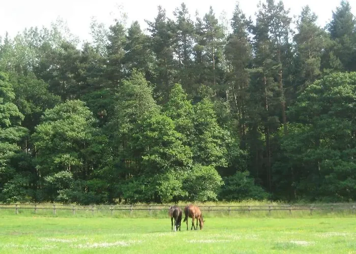 Blackberry Lodge